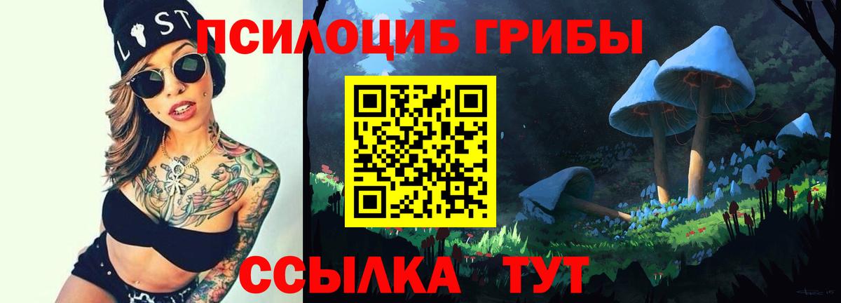 Галлюциногенные грибы GOLDEN TEACHER  Вход с VPN  Крымск  Галлюциногенные грибы прущие грибы 